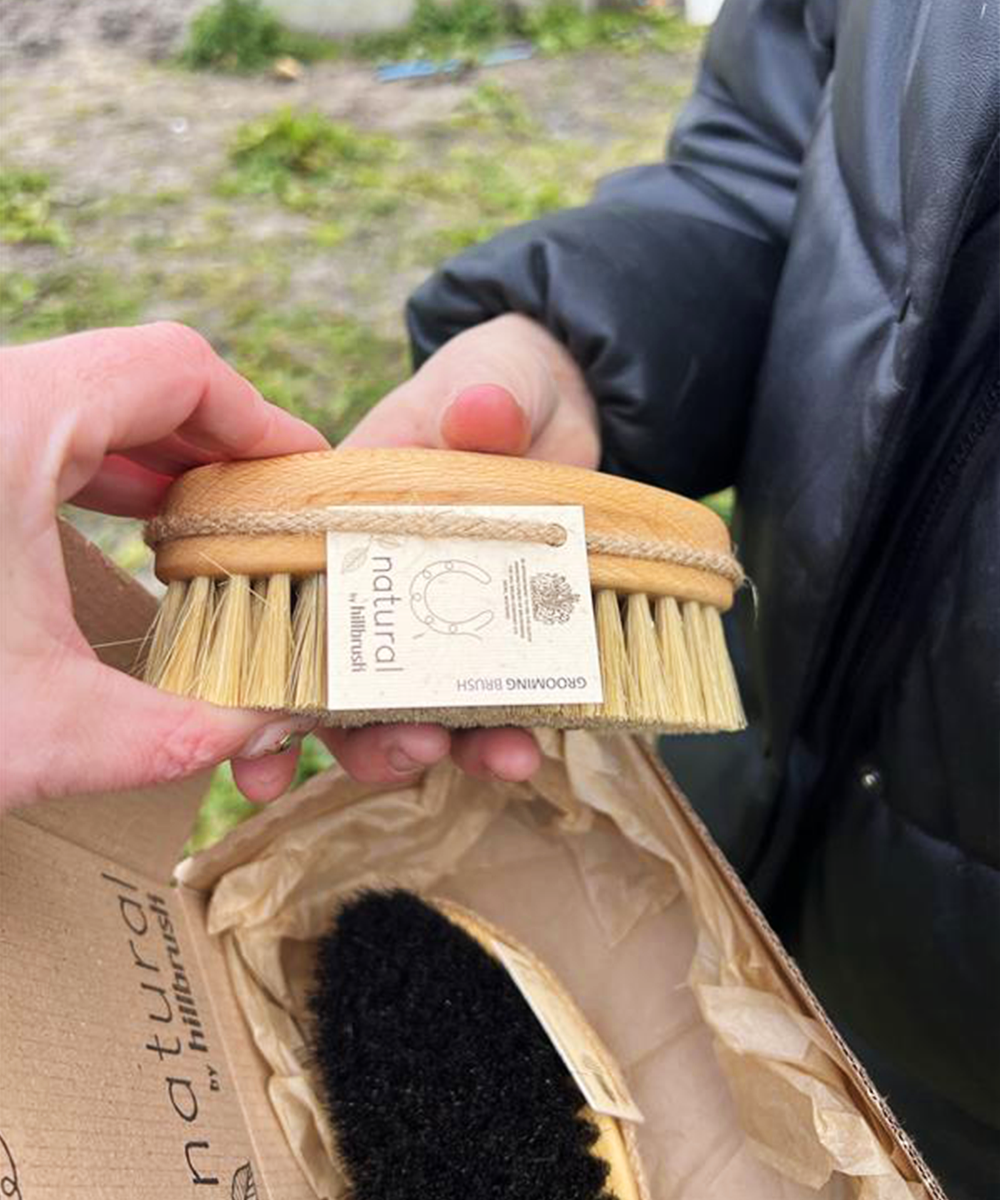 Natural by Hillbrush Equestrian Grooming Brush Set